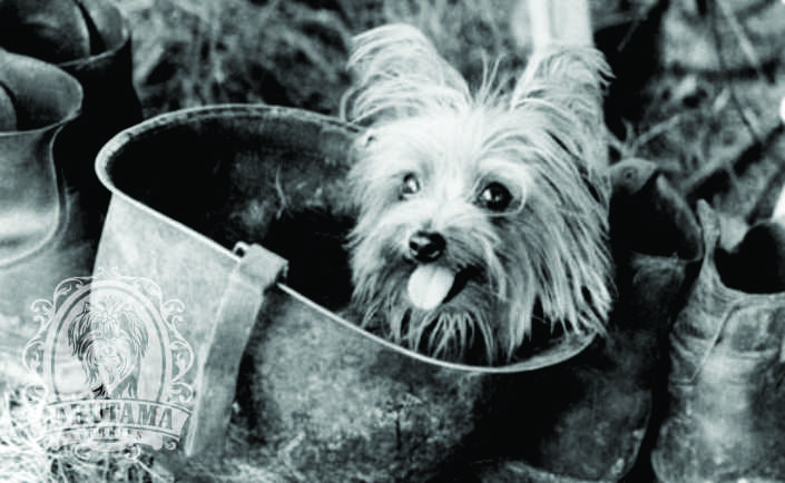 Jarutama Slider Image 01