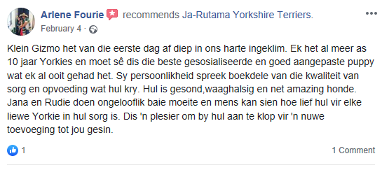 Jarutama Reviews