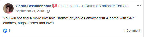 Jarutama Reviews