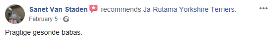 Jarutama Reviews